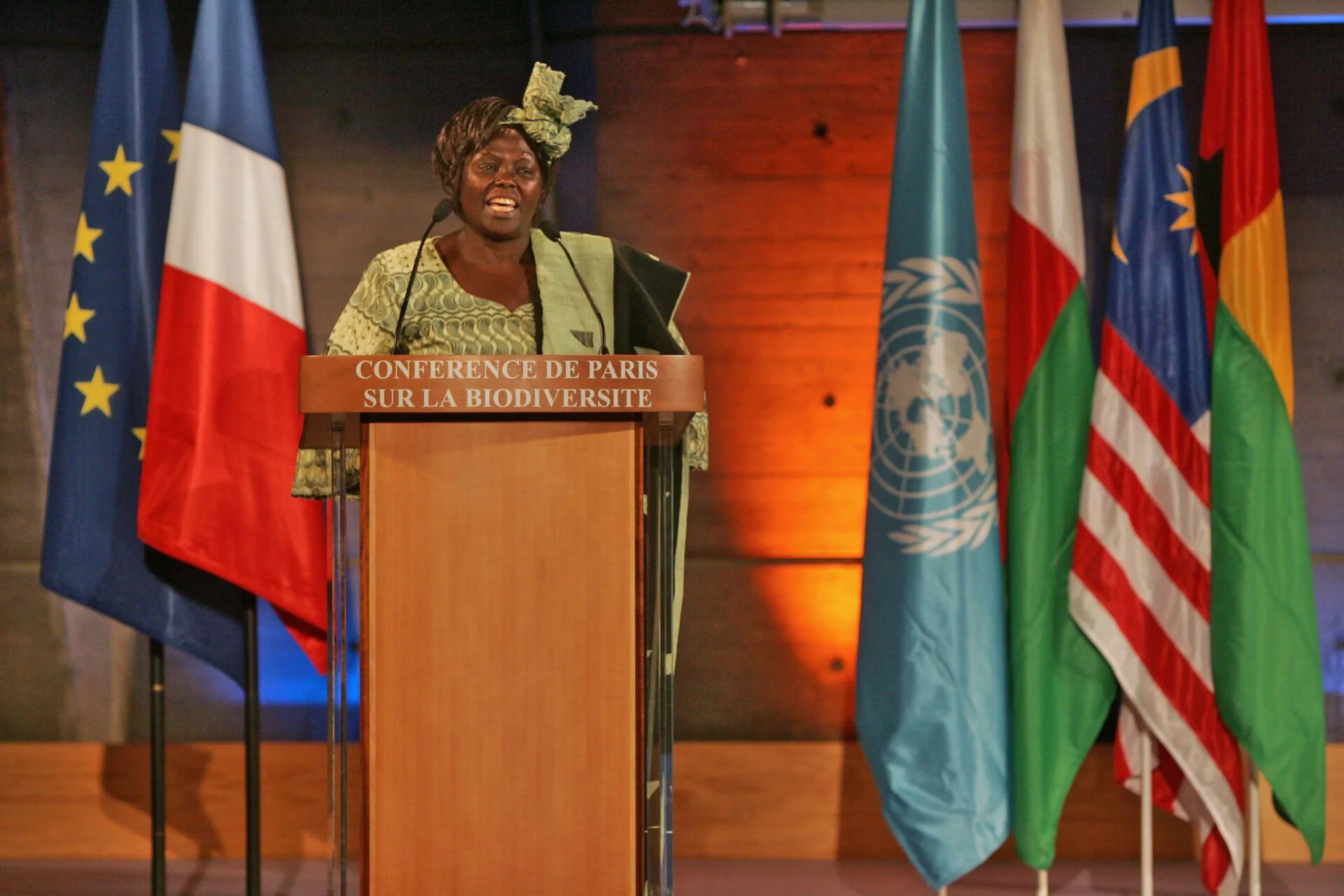 Wangari Maathai hält während einer Biodiversitätskonferenz bei den Vereinte Nationen eine Rede. Im Hintergrund sind Fahnen der Vereinten Nationen sowie die Konferenzkulisse zu sehen.